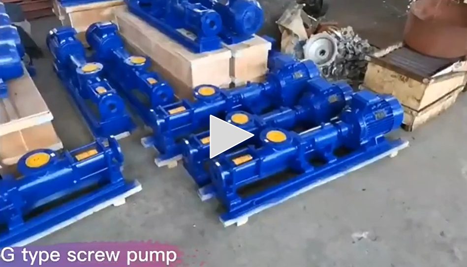 G-type screw pump