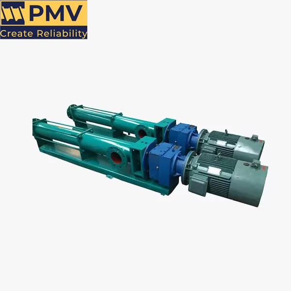 Direct-connected progressing cavity pumps-1