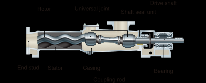 stator rotor pump