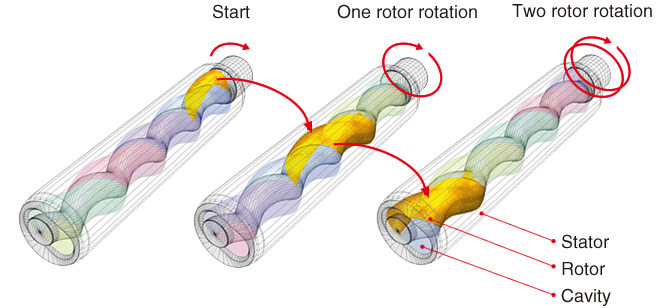 stator pumps 