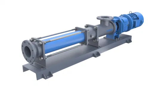 China Progressive Cavity Pump