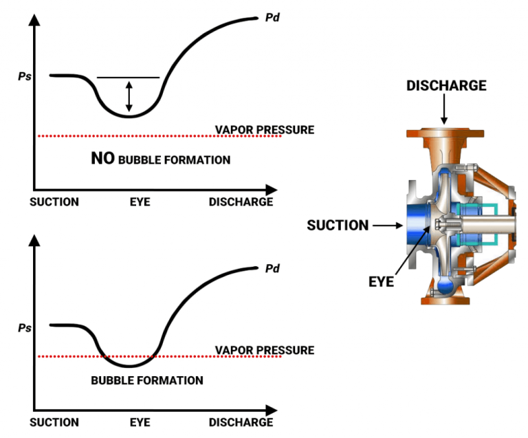 NPSH Required for Progressive Cavity Pump