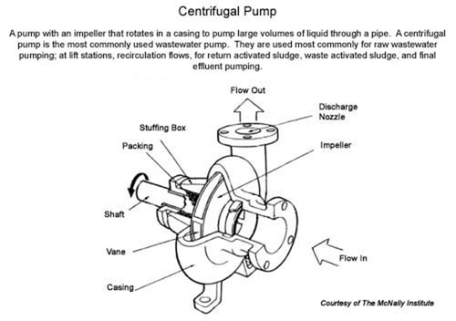 A progressive cavity pump typically has screws quizlet